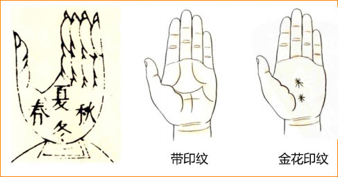 麻衣神相白话详解论掌纹之四季纹带印纹金花印纹与运势