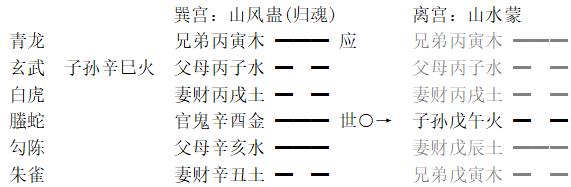 增删卜易白话详解月将实例：逢伤亦伤，却有待时之用
